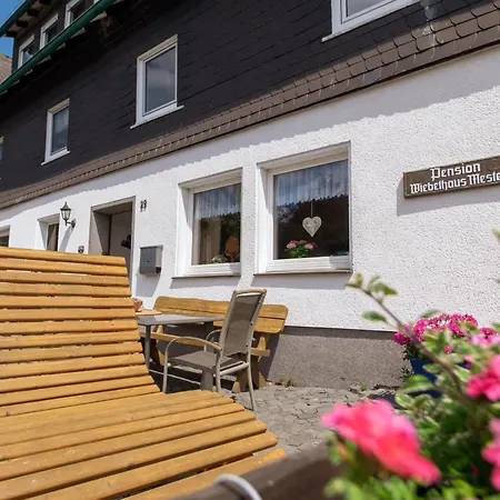 Schwalbennest