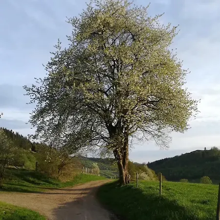 Schwalbennest