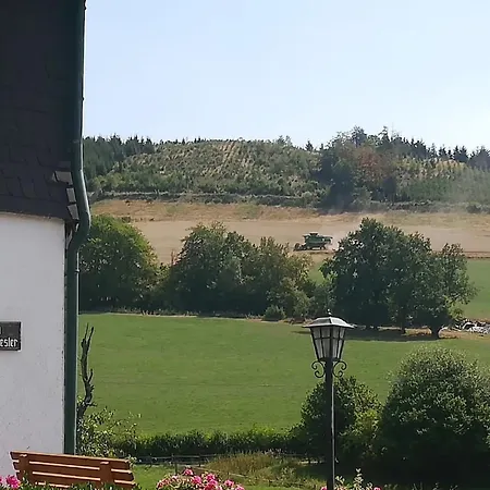 Schwalbennest * Lennestadt